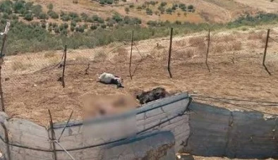 إسرائيل تستكمل مشروع «سوفا 53» جنوب القنيطرة.... بالاستيلاء على آلاف الدونمات الزراعية