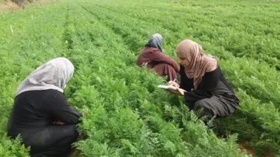 مشروع «التمكين الاقتصادي» للمرأة الريفية في سوريا بدعم من مركز الملك سلمان»