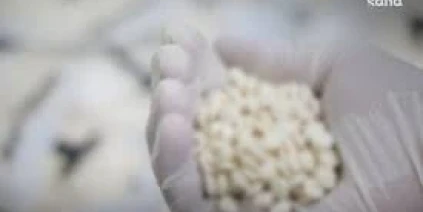 إحباط تهريب نصف مليون حبة كبتاغون وتوقيف المتورطين بعملية سورية–عراقية مشتركة