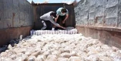 الجمارك تضبط أكثر من مليون حبة كبتاغون وعملات مزورة ‏وقطعاً أثرية خلال النصف الأول من 2026‏
