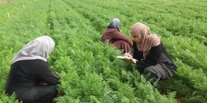 مشروع «التمكين الاقتصادي» للمرأة الريفية في سوريا بدعم من مركز الملك سلمان»