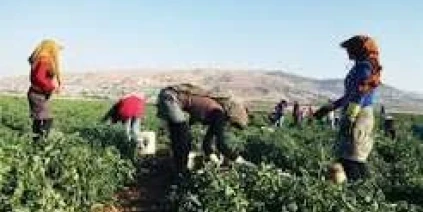 لوموند: رحيل اللاجئين السوريين يترك فراغا في لبنان