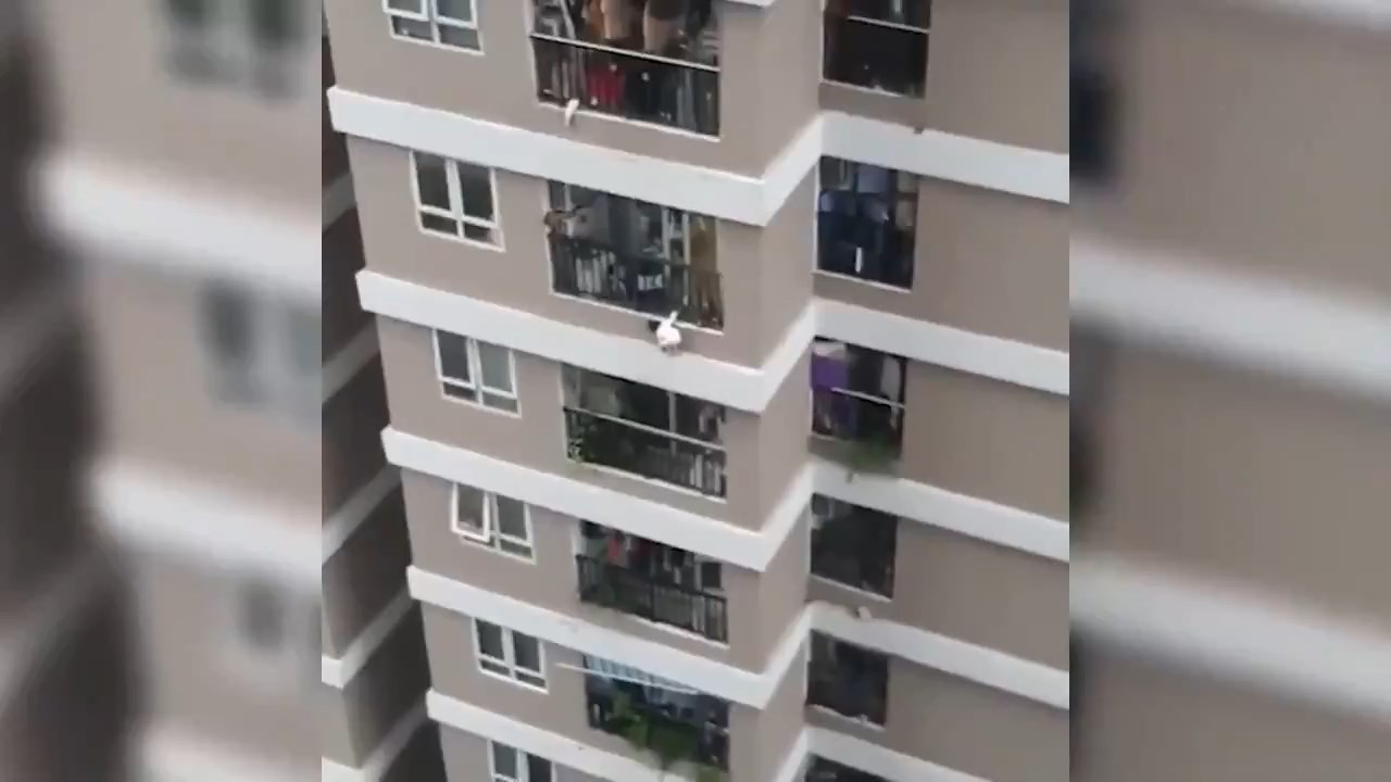 صورة من الفيديو المتداول أثناء سقوط الطفلة (متداول)