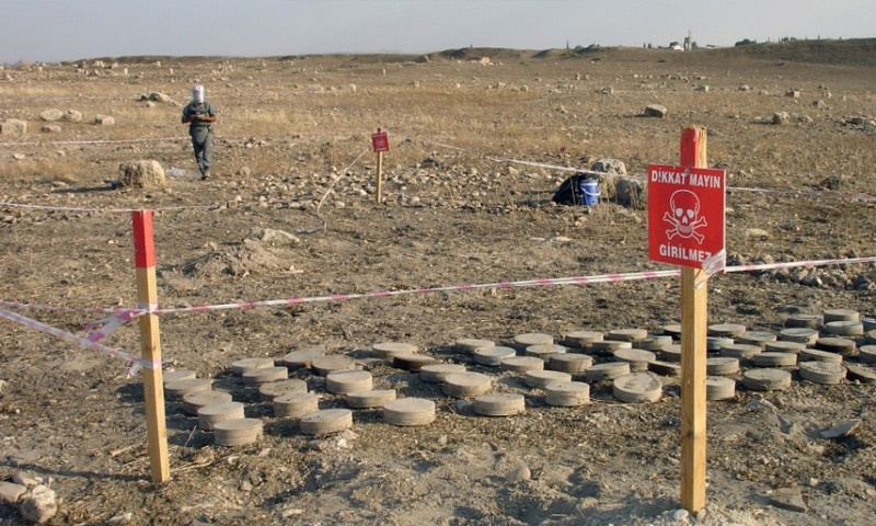 صورة تعبيرية
