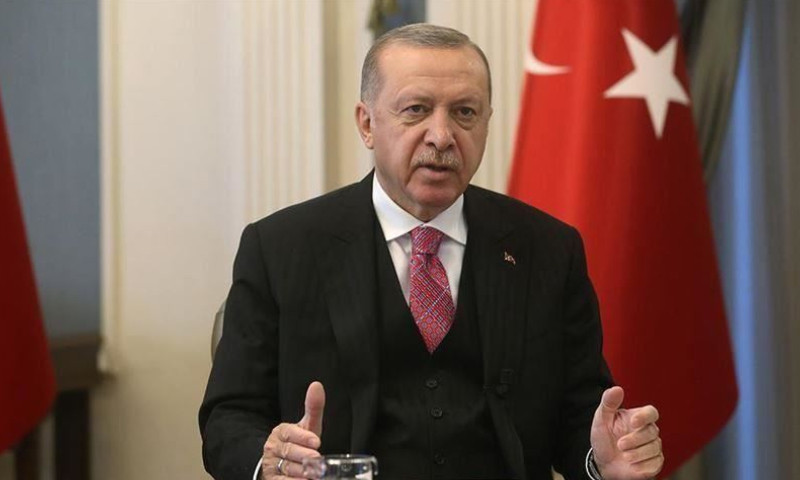 الرئيس التركي رجب طيب أردوغان (إنترنت)