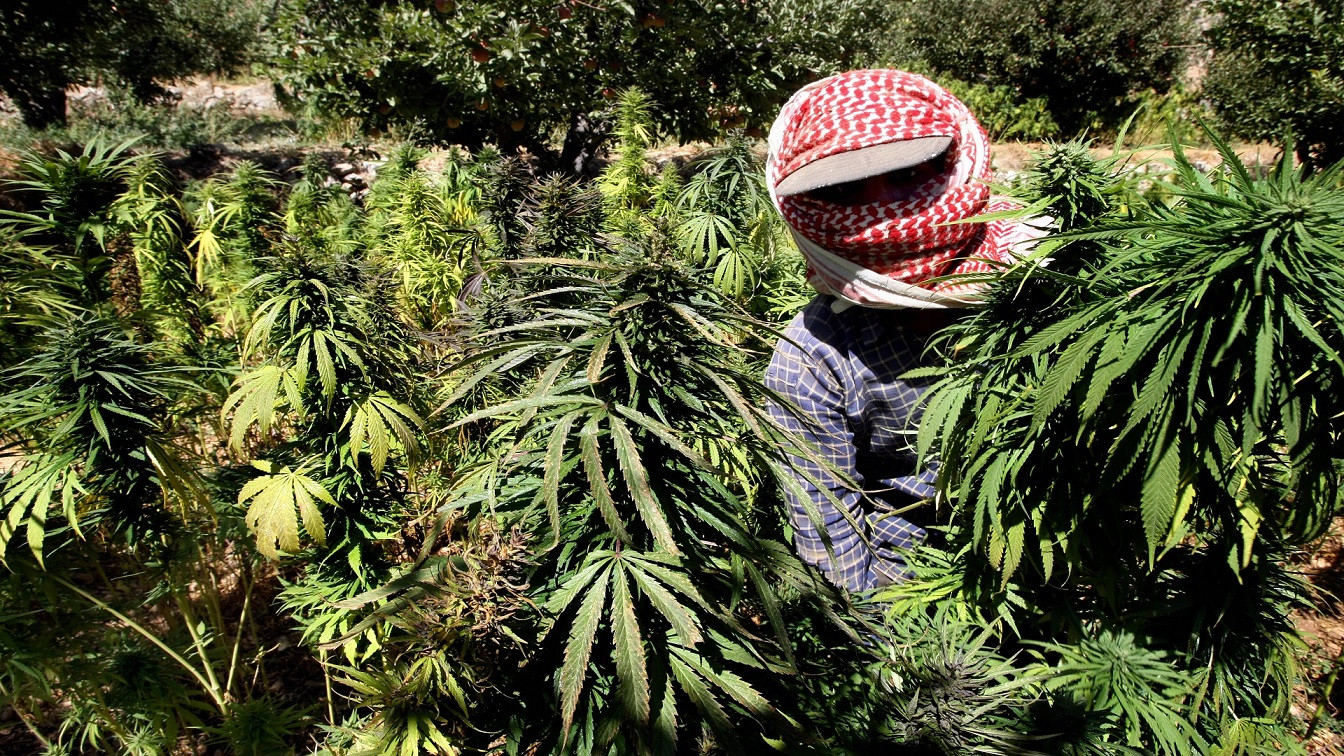 صورة تعبيرية