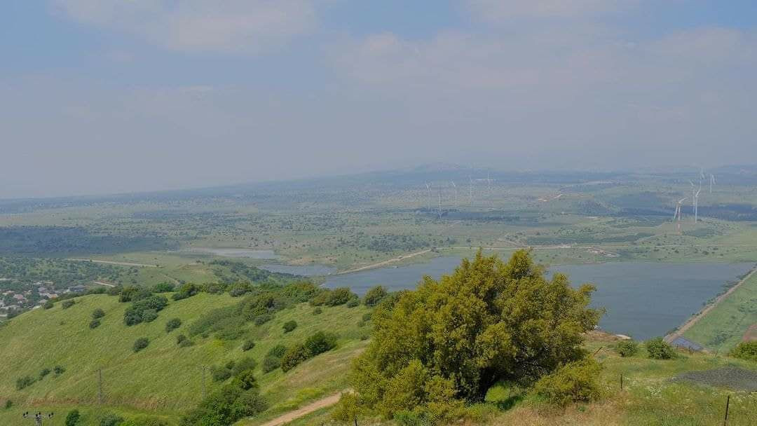 هضبة الجولان