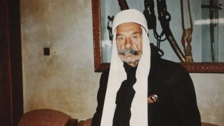 سلطان باشا الاطرش (انترنت(