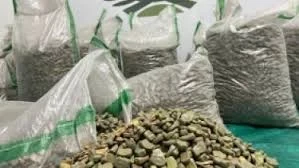 حبوب الكبتاغون
