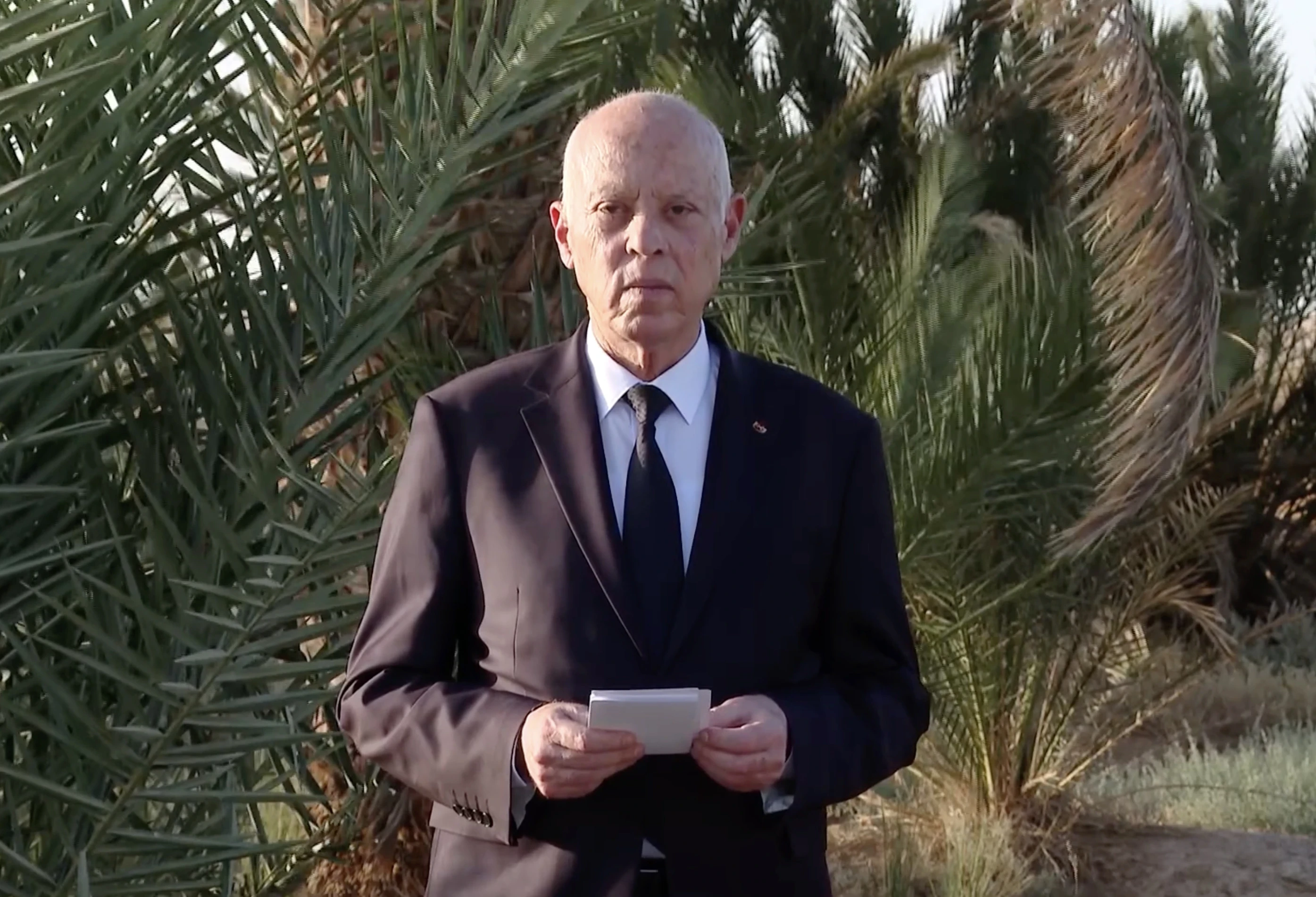 الرئيس التونسي قيس سعيد