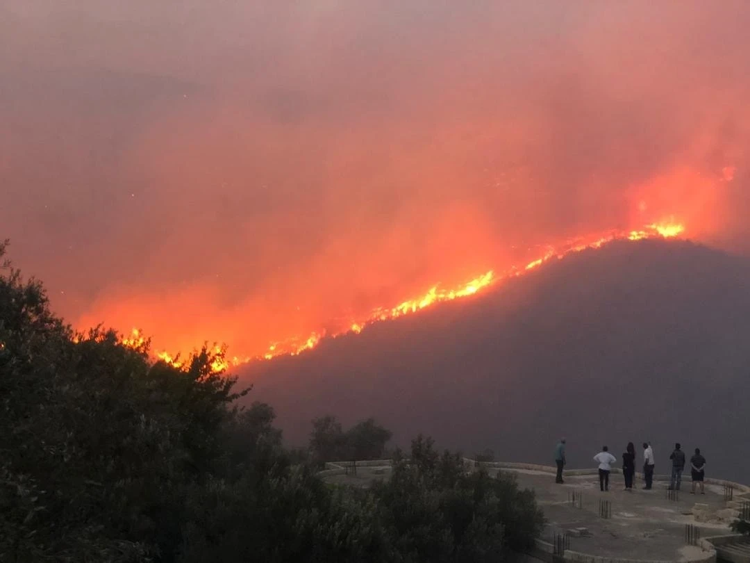 صورة أرشيفية لحرائق الغابات في الساحل