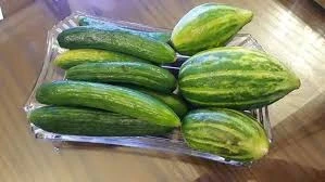 طبق خيار وفقوس