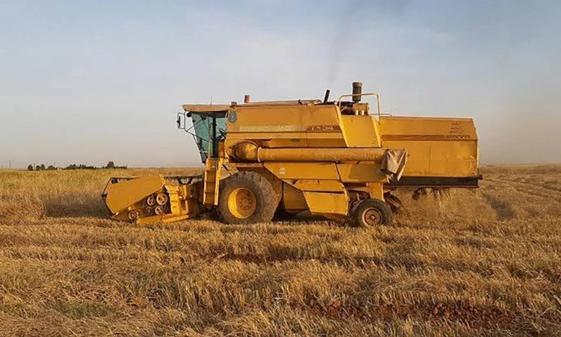 حصاد القمح في رأس العين (الصفحة الرسمية للمجلس المحلي)