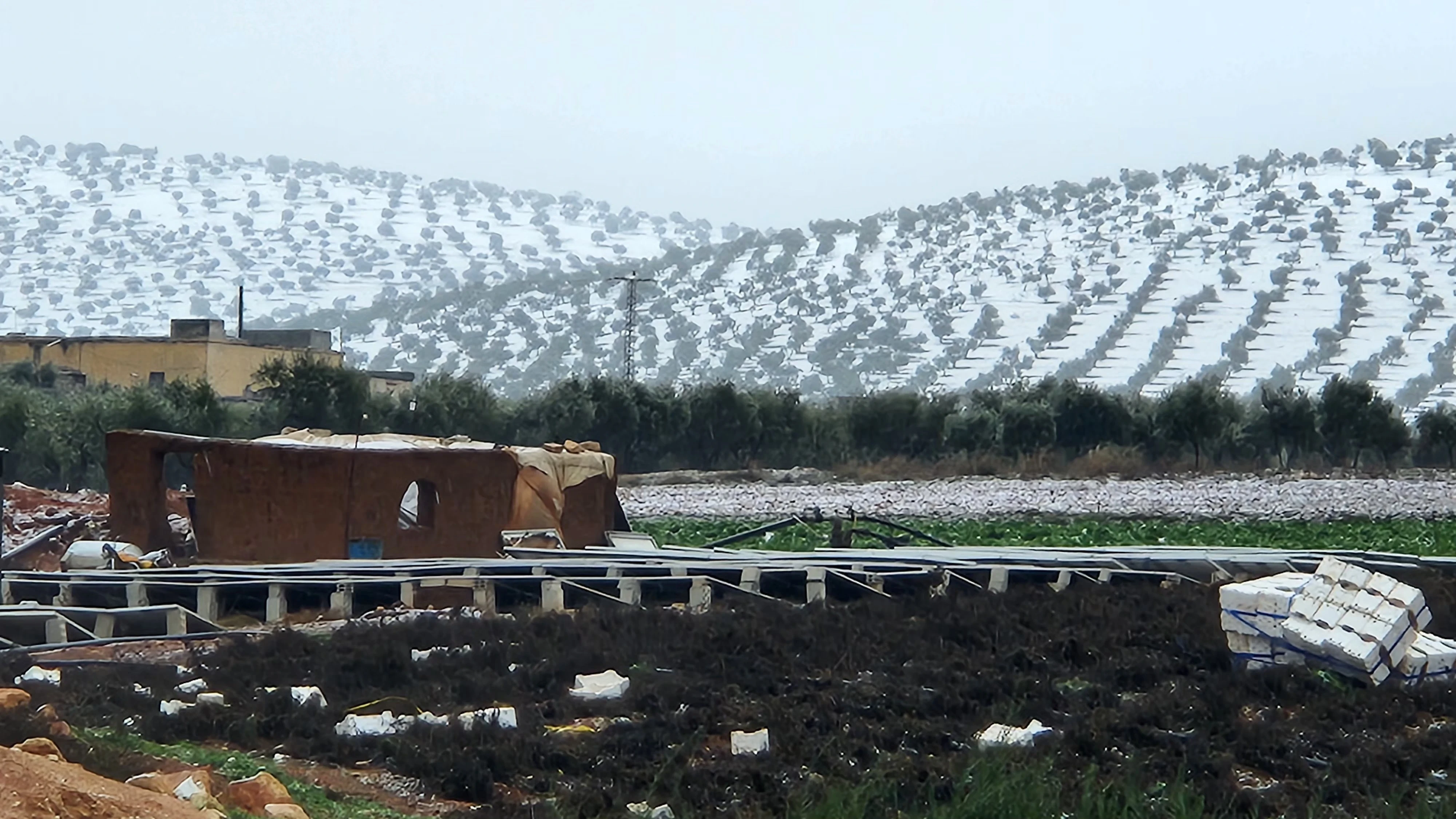 مخيمات الشمال السوري دير بلوط والمحمدية خاص السوري اليوم