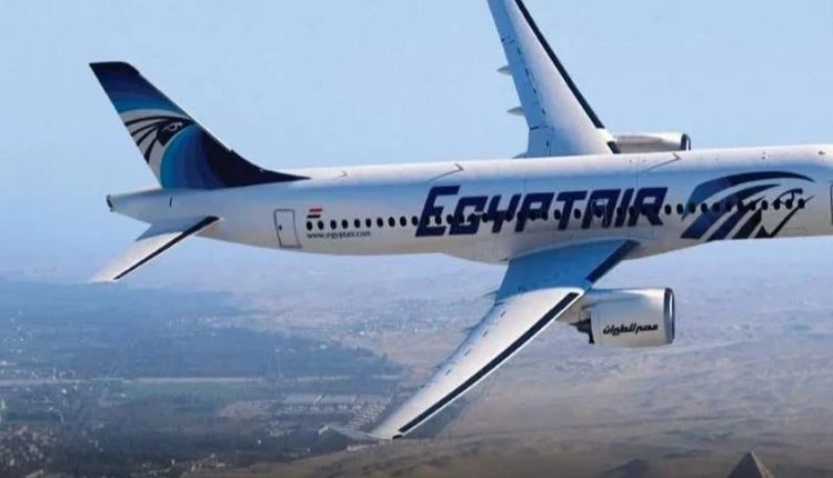 مصدر الصورة (مواقع التواصل)