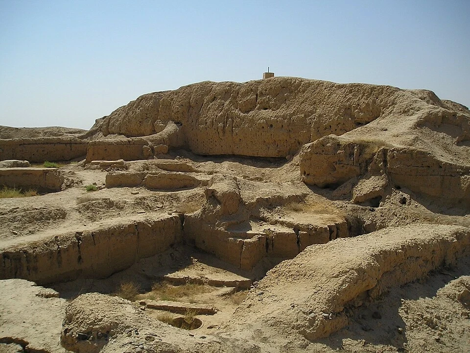 مصدر الصورة (مواقع التواصل)