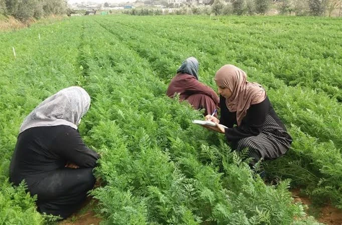 المراة الريفية السوية