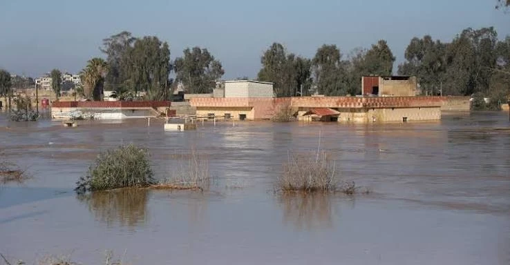 سيول في سوريا